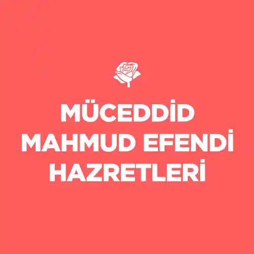 MÜCEDDİD MAHMUD EFENDİ HAZRETLERİ